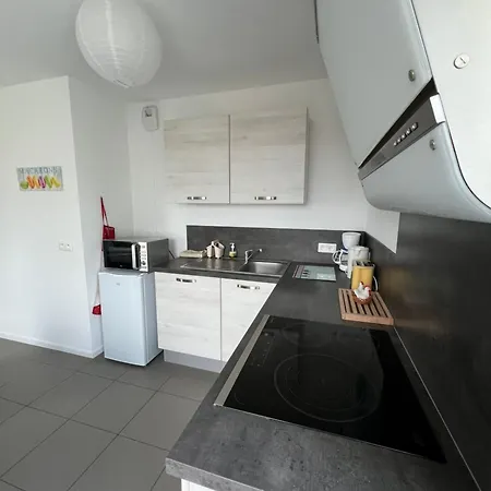 Apartment L'appart' Des Maraichers - Au Calme - Terrasse & Garage Colmar