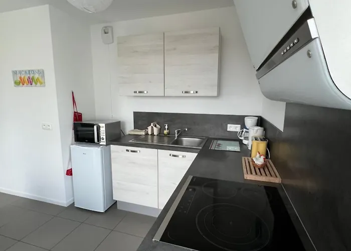 Appartement L'appart' Des Maraichers - Au Calme - Terrasse & Garage Colmar